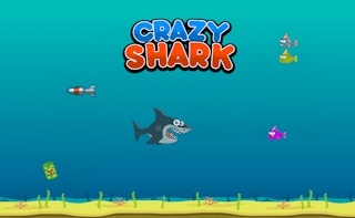 Crazy Shark
